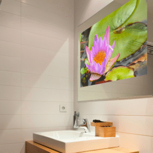 Replace your bathroom mirror with a bathroom tv