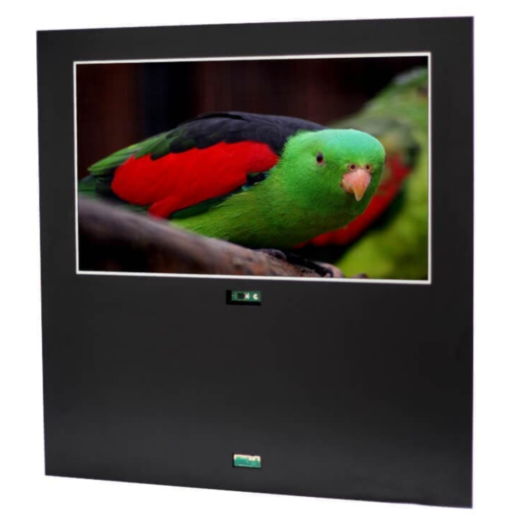 AVS220OF Open Frame TV