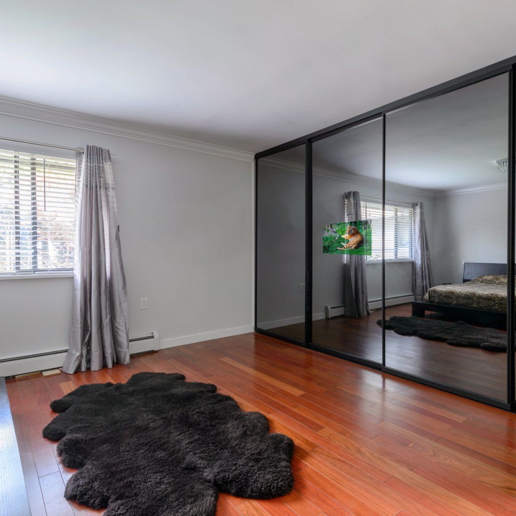 Custom TV behind a closet door mirror